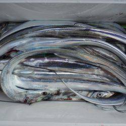 遊漁船 遊友 釣果