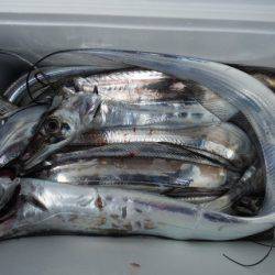 遊漁船 遊友 釣果