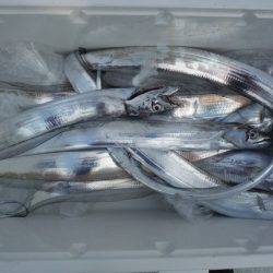 遊漁船 遊友 釣果