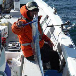 遊漁船 遊友 釣果