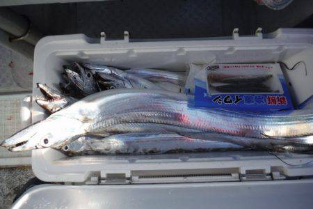 遊漁船 遊友 釣果