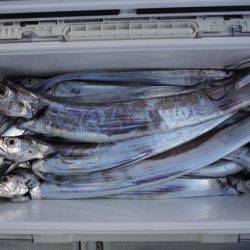 遊漁船 遊友 釣果