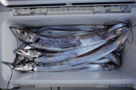 遊漁船 遊友 釣果