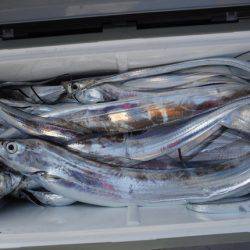 遊漁船 遊友 釣果