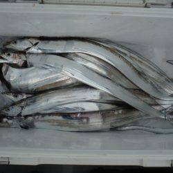 遊漁船 遊友 釣果