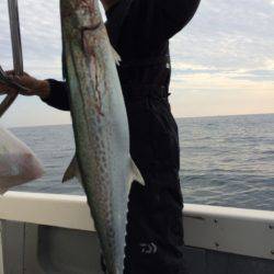 Blue.win 海人丸 釣果