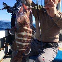 Blue.win 海人丸 釣果