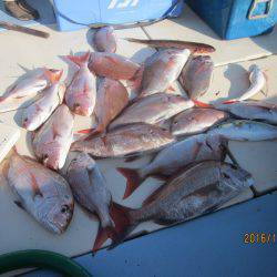 第十八吉栄丸 釣果