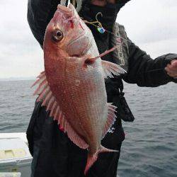 遊漁船ブルーウッズ 釣果