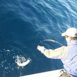 第五慶門丸 釣果