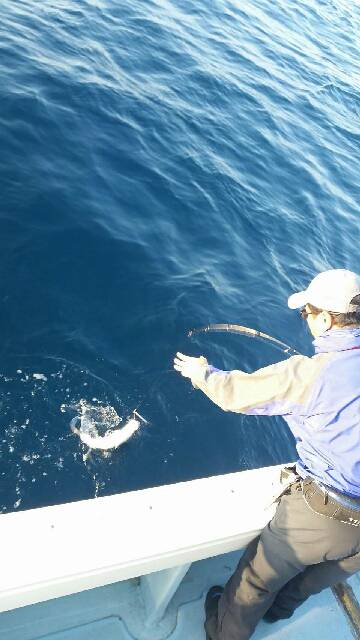 第五慶門丸 釣果