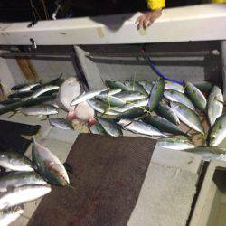 寿裕 （YOSHIHIRO） 釣果