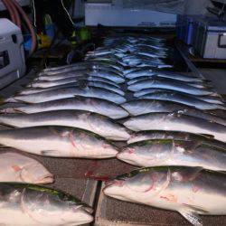 幸風（さちかぜ） 釣果