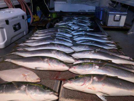 幸風（さちかぜ） 釣果