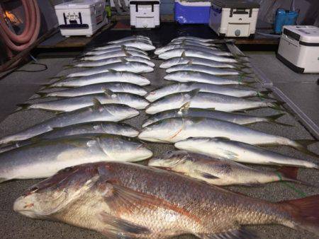 幸風（さちかぜ） 釣果