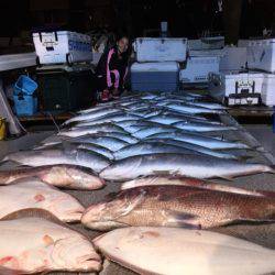 幸風(さちかぜ) 釣果