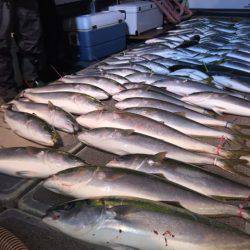 幸風(さちかぜ) 釣果