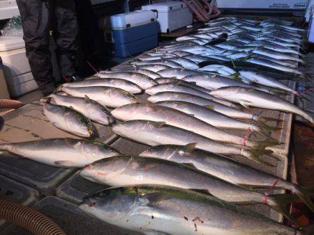 幸風（さちかぜ） 釣果