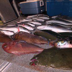 幸風(さちかぜ) 釣果