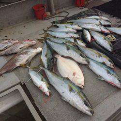 寿裕 (YOSHIHIRO) 釣果