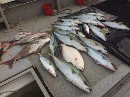 寿裕 （YOSHIHIRO） 釣果