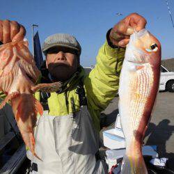 大進丸(新潟) 釣果
