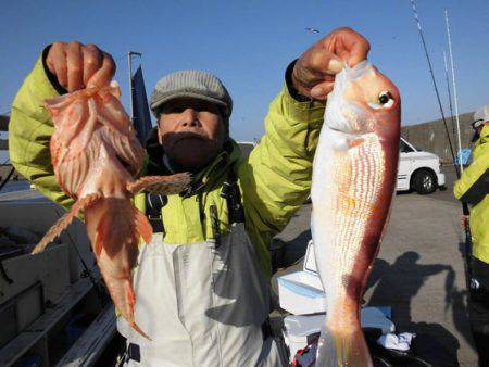 大進丸(新潟) 釣果