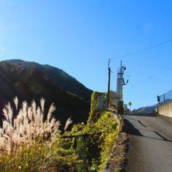 小菅トラウトガーデン 釣果