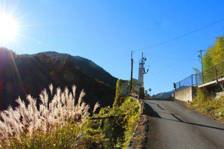 小菅トラウトガーデン 釣果