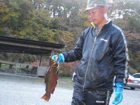高萩ふれあいの里フィッシングエリア 釣果