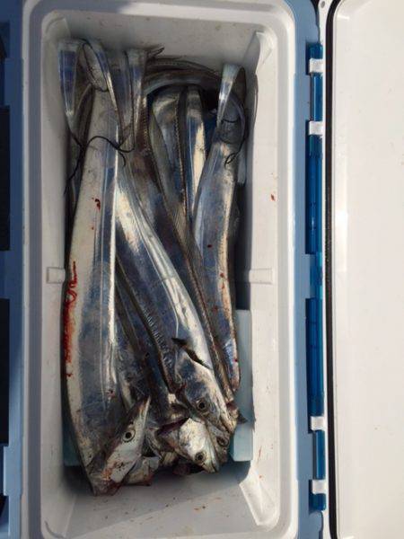 遊漁船高橋 釣果