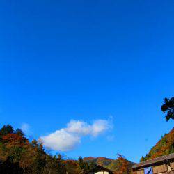 小菅トラウトガーデン 釣果