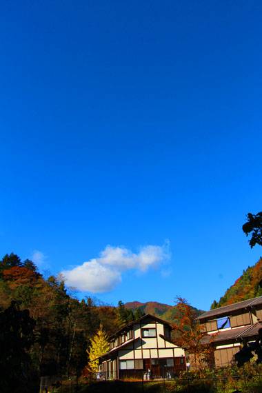 小菅トラウトガーデン 釣果