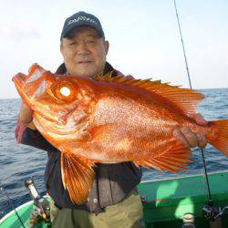 真祐丸 (しんゆうまる) 釣果