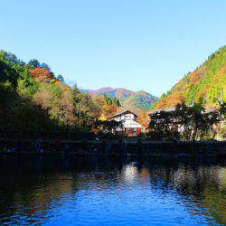 小菅トラウトガーデン 釣果