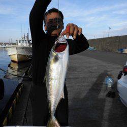 大進丸(新潟) 釣果