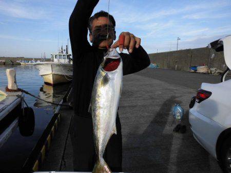 大進丸（新潟） 釣果
