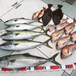 ふじしめ丸 釣果