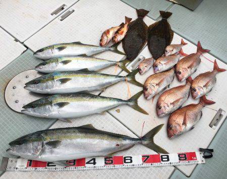 ふじしめ丸 釣果