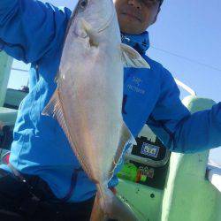 遊漁船 新鋭丸 釣果