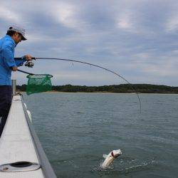 クルーズ 釣果