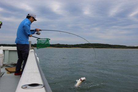 クルーズ 釣果