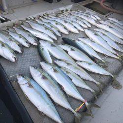 寿裕 (YOSHIHIRO) 釣果