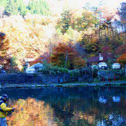 小菅トラウトガーデン 釣果