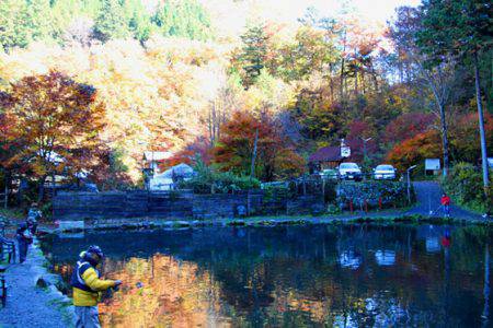 小菅トラウトガーデン 釣果