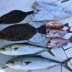 ふじしめ丸 釣果