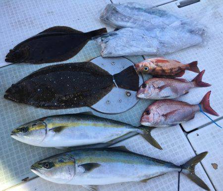 ふじしめ丸 釣果