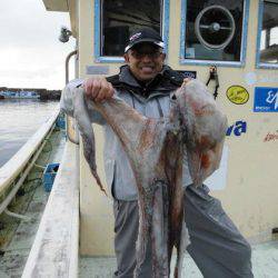 大進丸(新潟) 釣果