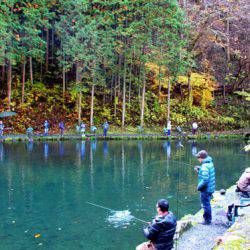 小菅トラウトガーデン 釣果