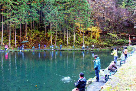 小菅トラウトガーデン 釣果